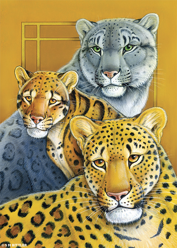 Totem Card: Leopards