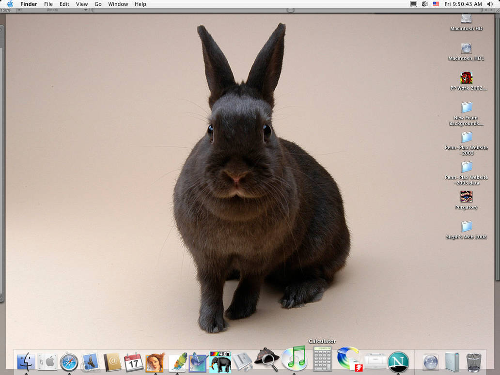 BoB My Bunny Desktop