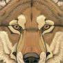 Prehistoric Series - Dire Wolf