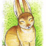 ACEO - Bunny