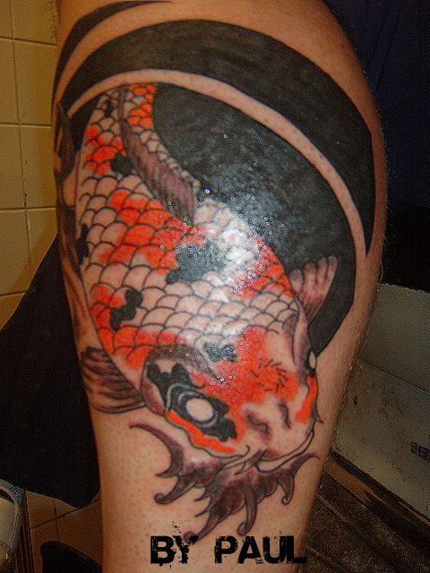 And Another Koi Fish....