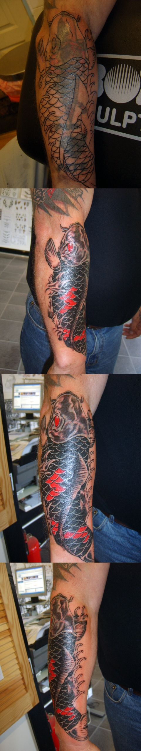 Koi Carp Coverup