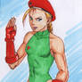 Cammy Scketch