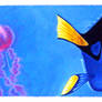 Dory and the Jellyfishes