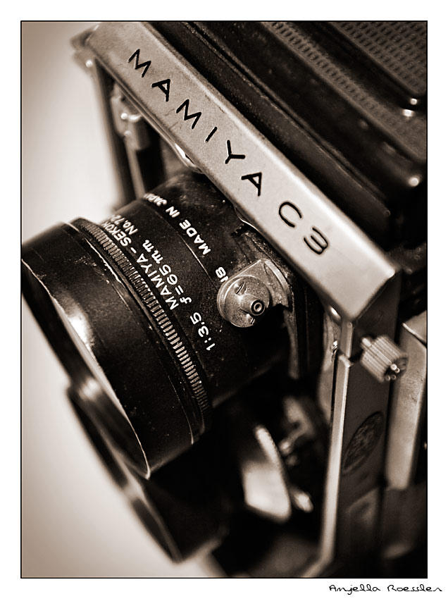 Mamiya by PiercedVelvet on DeviantArt