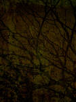 Grunge 10 by Inthename-Stock