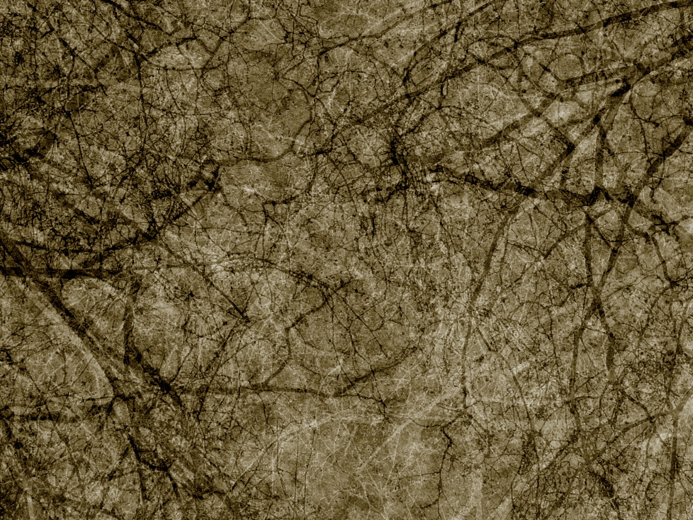 Antique Texture 1