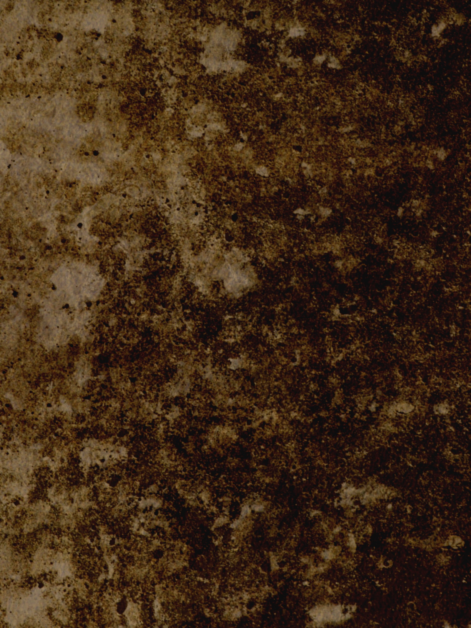 Antique Texture 15