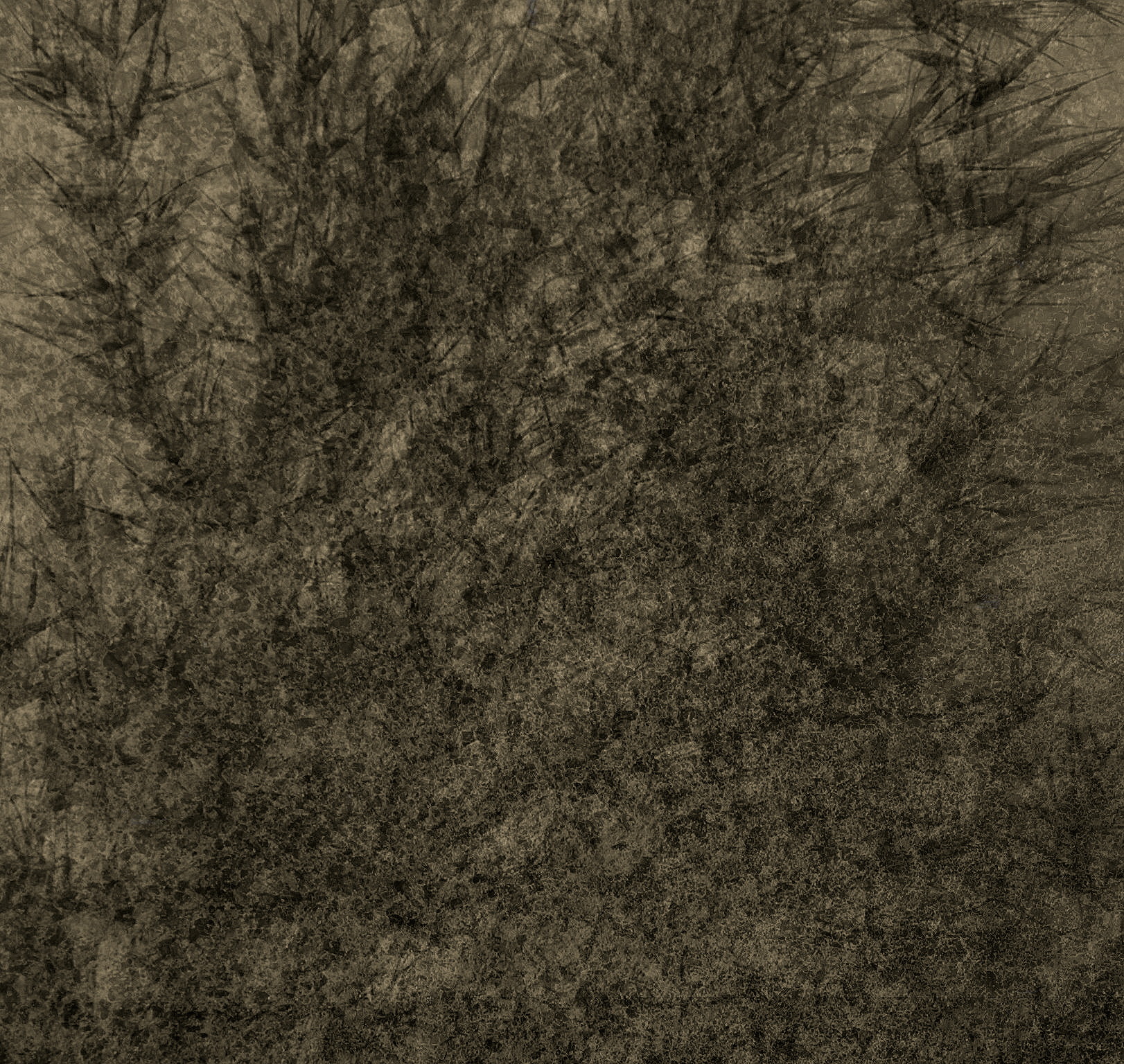 Antique Texture 35