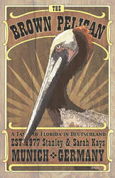 The Brown Pelican