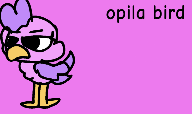 Opila bird by reaganroses on DeviantArt