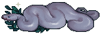 white python