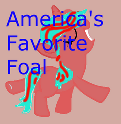 America's favorite foal