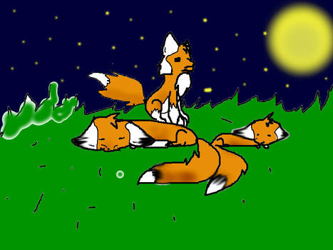 Foxes