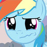 Dashie is Sad