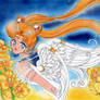 Sailor Moon Artbook 5