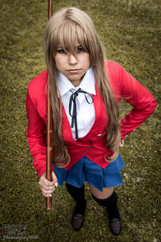 TAIGA AISAKA ~ ToraDora! | PALMTOP TIGER