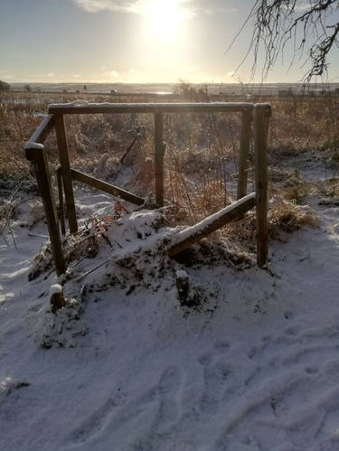 Winter fencing 