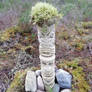 Stone Totem Pole