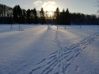 Crawl Park Snow