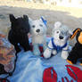 Santa Monica Webkinz Friends!