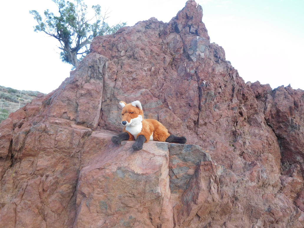Red Fox on Red Rocks by kyleplush on DeviantArt