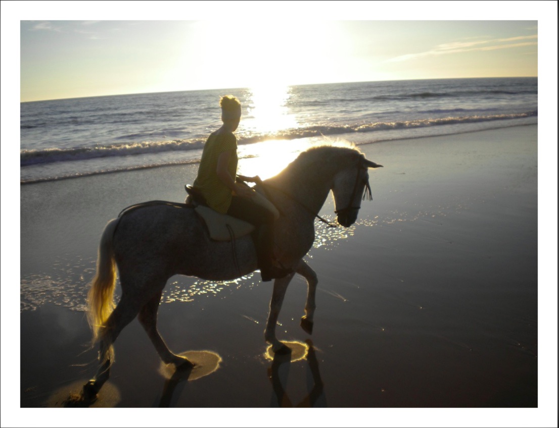 Equine Sunset in Donana 2