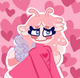 I dont want anybody else