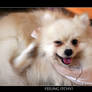 Feeling itchy....