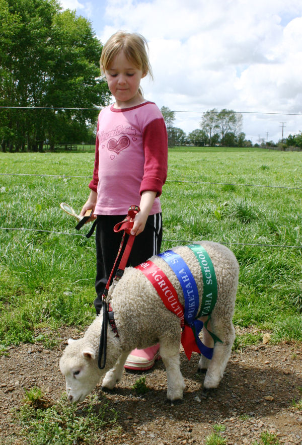 Paiges Calf Club