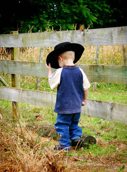 My Cowboy 2