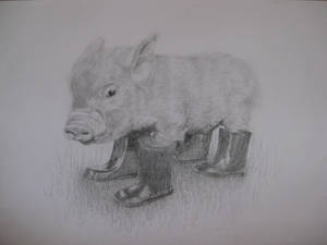 Piglet in wellies