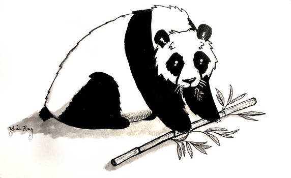 Panda and Bamboo