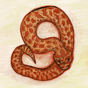 Hognose Snek Mixed Media