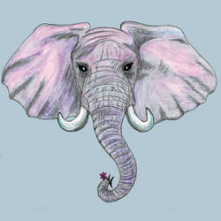 Pastel Elephant