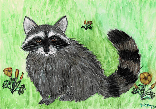 Rascally Raccoon With Poppies