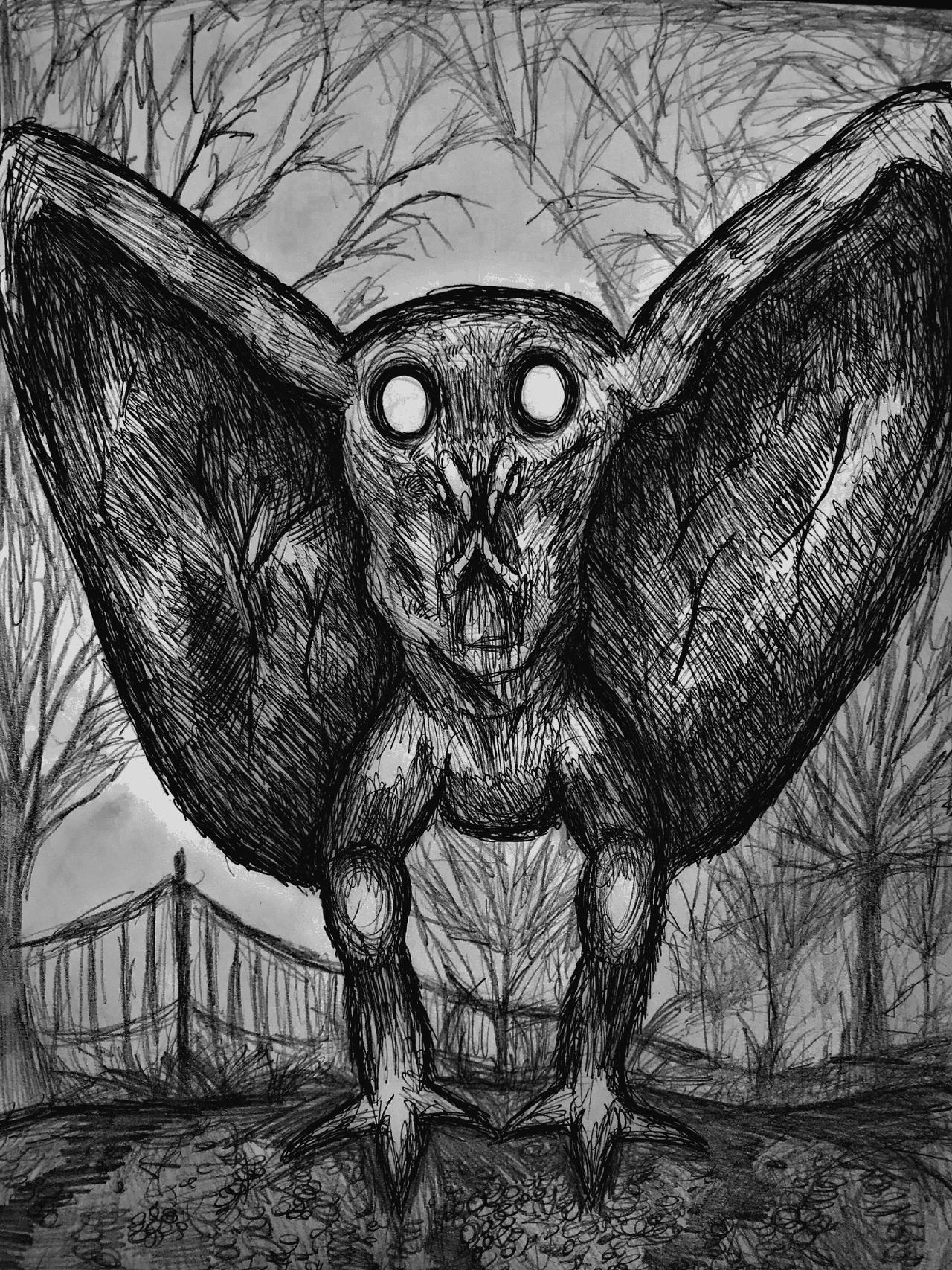 Mothman Character Study by MaskedMidnight on DeviantArt
