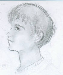 Profile of a boy