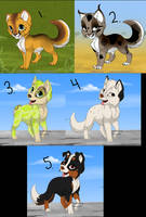 Free:Point adoptables .:OPEN:.