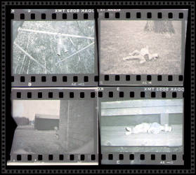 Pee Wee Negatives