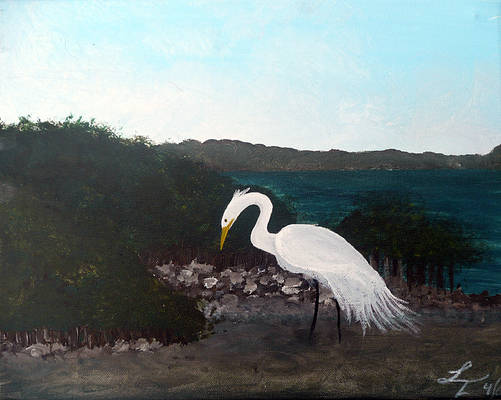 White Egret