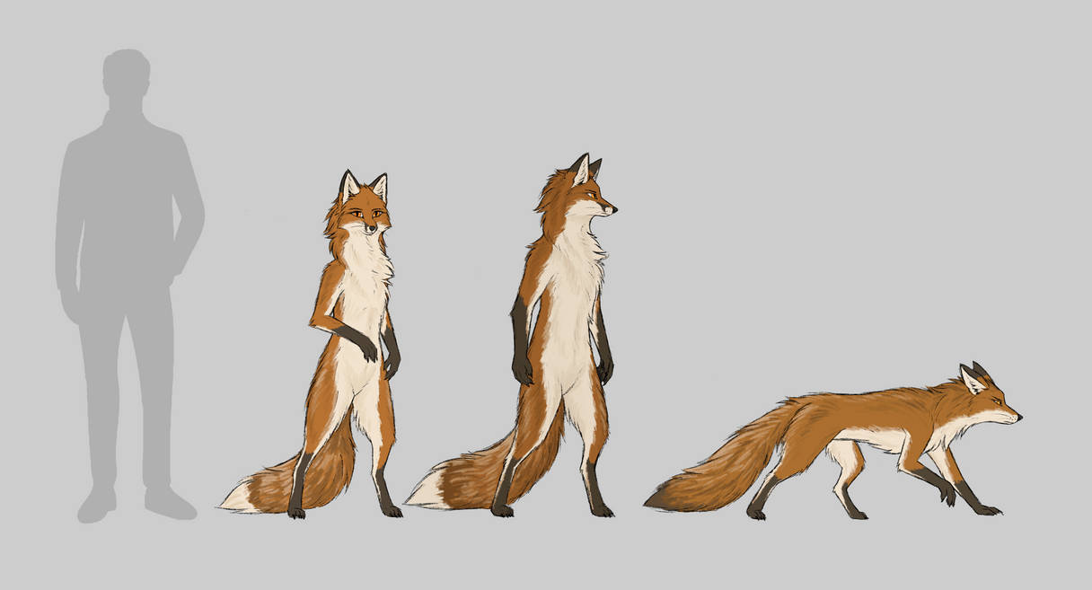 Fox Evolution Over Time Anthro Foxes by AlienLizard123 on DeviantArt