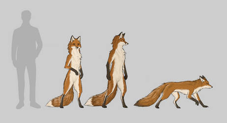 Anthro Foxes