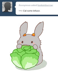 bunkat: eat lettuce