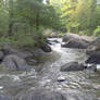 Rapids