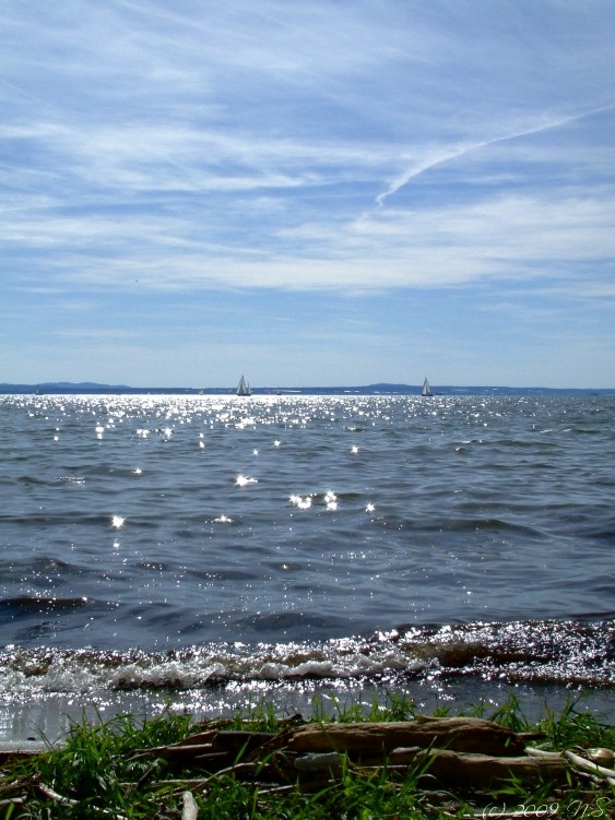 Lake of Constance III