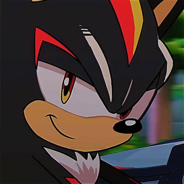 Shadow profile picture by fuchyscythetfug on DeviantArt