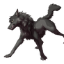 =YCH= Mallinckrodt