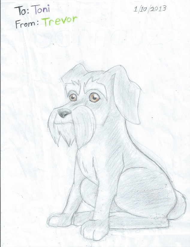 Schnauzer drawing