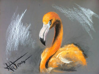 Flamingo Flamenco pastel